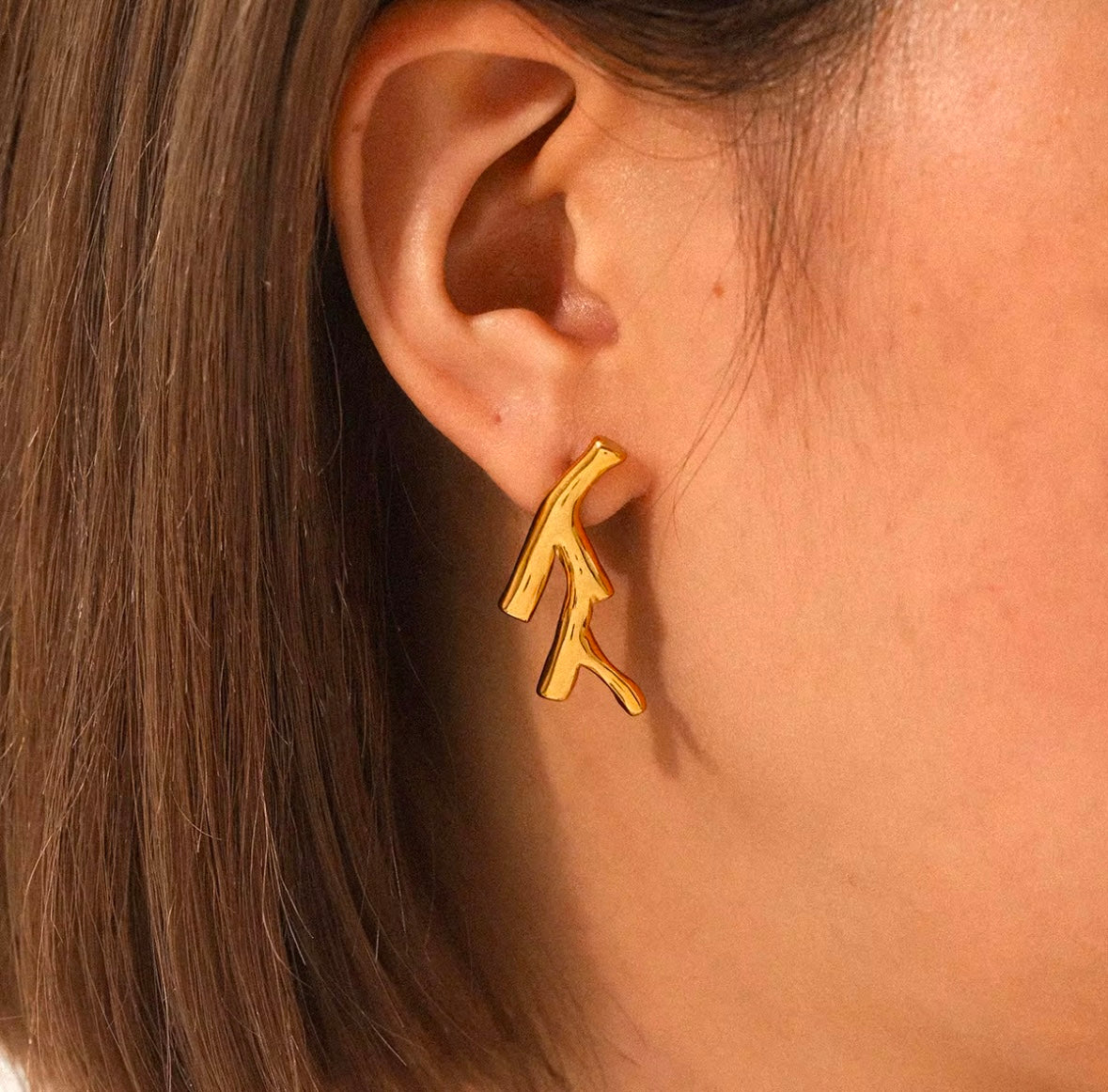 The Twig Earrings